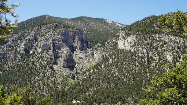 istock Mt Charleston Views from the Top 2162557271