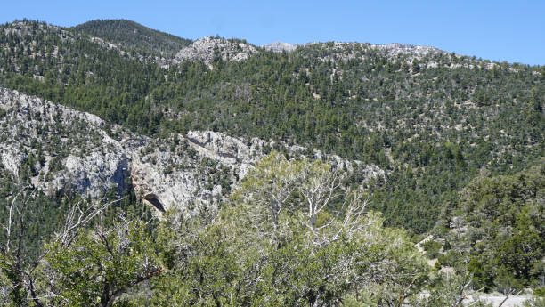 istock Mt Charleston Views from the Top 2162557358