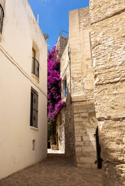 Alley with flowers in the middle of Ibiza town.
