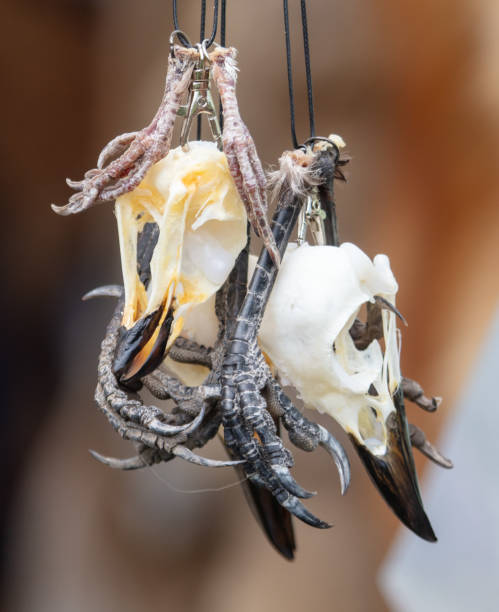 istock Pendant with animal claws. Close-up 2162558568