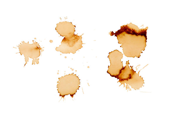 istock Coffee stains isolated on white background. Coffee prints.Round stain isolated, cafe stain fleck drink beverage. Coffee and Tea Stains cup rings. round trace of spilled coffee. Mockup. Copy space 2162560618