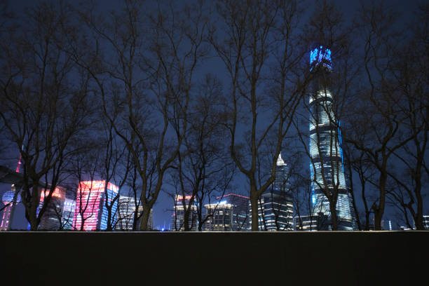 The Pudong business hub of Shanghai lighted by the night
