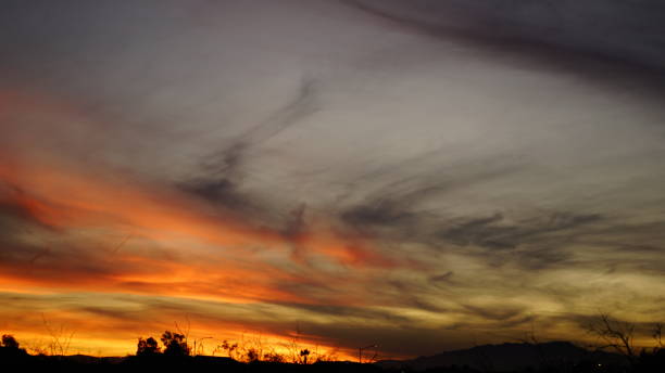istock Sunset on Wetlands Park 2162565223