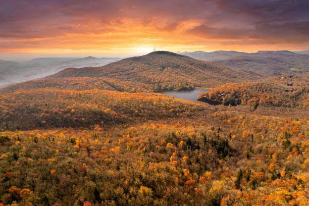 Fall forest on Appalachian mountain hills at sunset with brightly illuminated lush and pine woods. Autumnal landscape of beautiful nature.