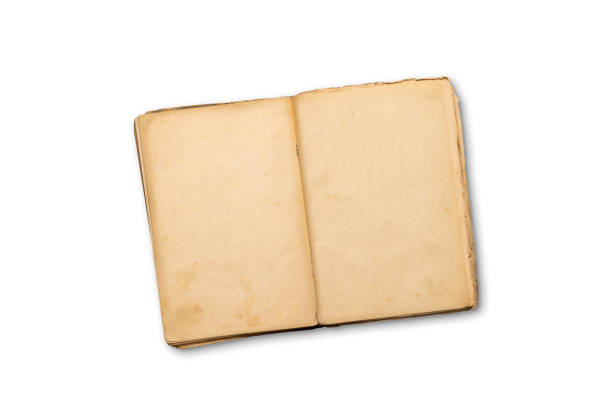 istock Top-down view of an open cookbook with empty pages 2162568402
