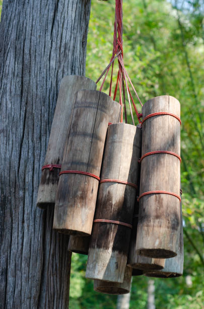 istock A bamboo tube filled with nectar from coconut flowers. 2162569134