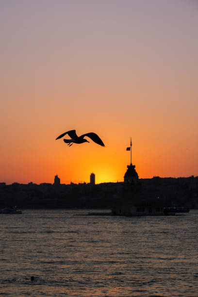 istock Maiden tower at sunset, Istanbul - Turkey. 2162573504