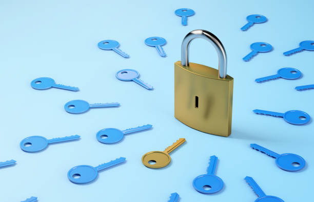 istock Padlock closed with a bunch of keys, security concept 2162574947