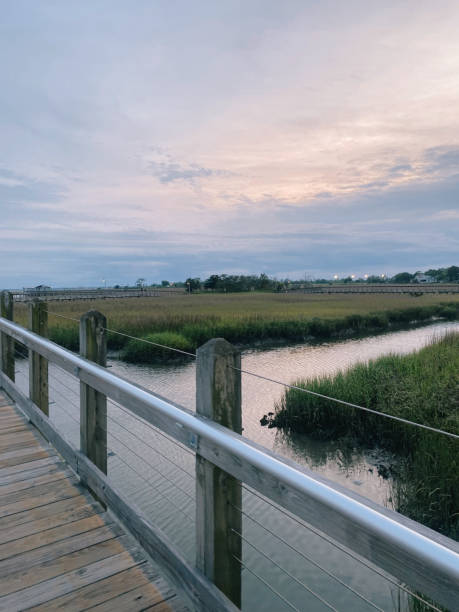 istock Charleston Estuary Walk at Dusk 2162578890
