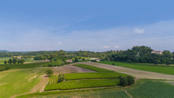 istock Agricultural fields, Lake Garda -  Italy, drone view 2162582578