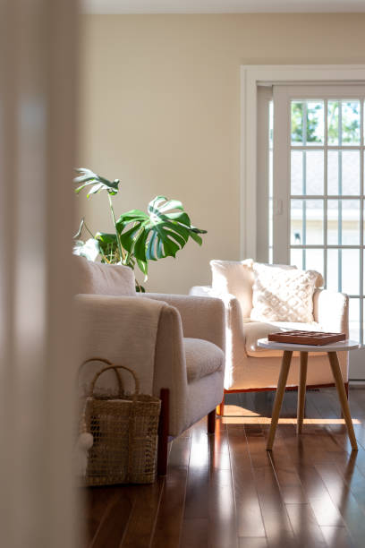 istock Peek into a light and bright sitting room glowing in afternoon sunlight 2162584573
