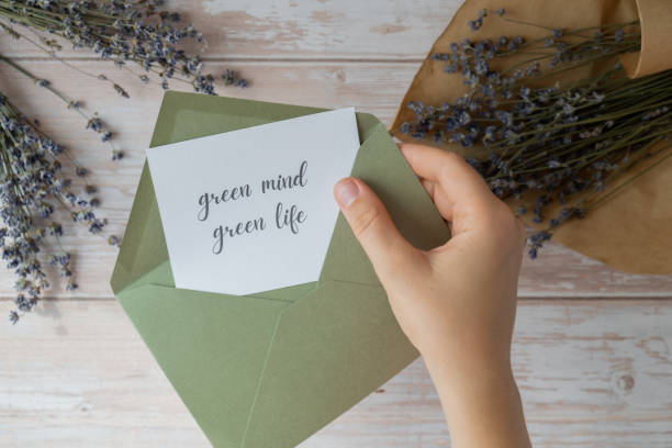 istock GREEN MIND GREEN LIFE text on supportive message paper note reminder from green envelope. Flat lay composition dry lavender flowers. Concept of eco-friendly lifestyle, environmental recyclable reusable low waste living 2162584711