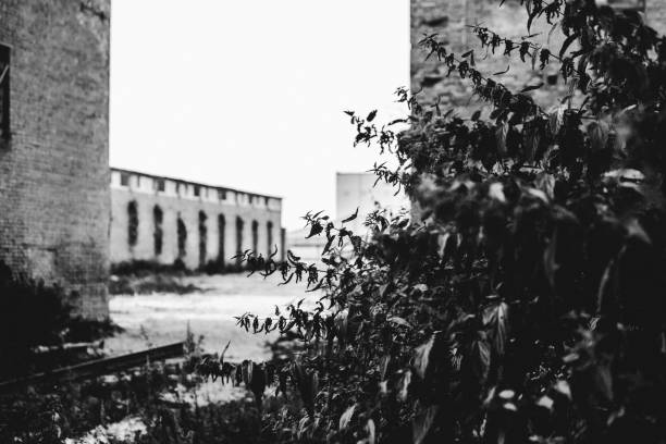 Abandoned chemical plant. Maardu, Estonia