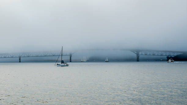 Foggy dusk over North Shore and Auckland harbour bridge