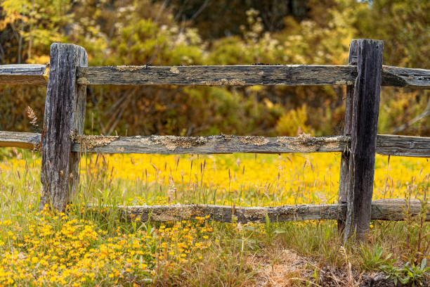 istock Rustic Wooden Fence & Bridge 2162590704