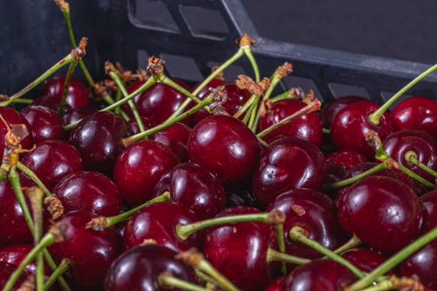 istock Ripe cherry in a plastic box on the table top view and side background 2162591187