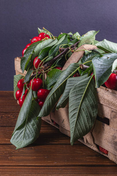 istock ripe cherries on branches in a box on the table close up 2162592107