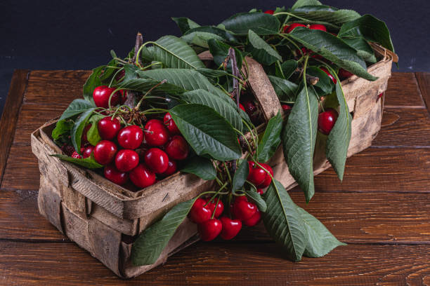 istock ripe cherries on branches in a box on the table close up 2162592132