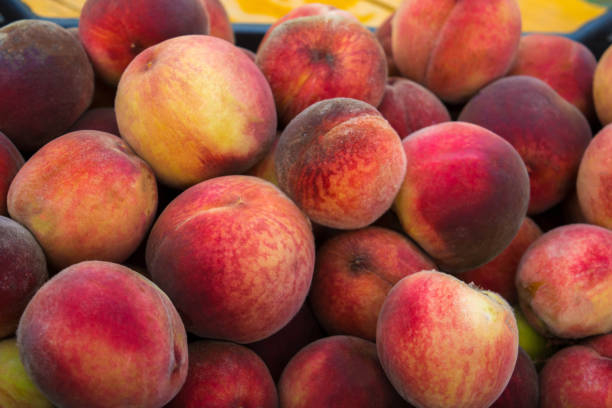 Bushel of Peaches