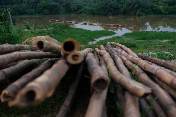 istock Bamboos at sand quarry site in Sagamu 2162594278