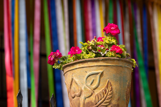 A close-up view of a beautifully arranged hanging basket filled with vibrant red and yellow flowers, lush green ivy leaves, and golden ornamental elements. The rustic wicker basket hangs from metal chains, showcasing a charming detail of English countryside decor. The blurred background reveals a rural street scene in Dorset, England, UK, enhancing the warm, inviting atmosphere