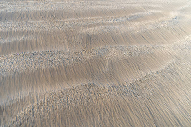 istock Sand Texture Background, Sandy Beach Pattern, Beige Ocean Dune Wallpaper, Wet Beach 2162598218