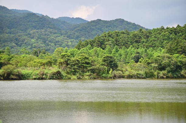 istock Floating Island Lake in Yilan County, Taiwan 2162600108