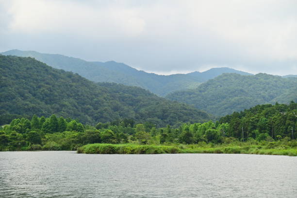 istock Shuanglian Pi: A Floating Oasis Amidst Taiwan's Lush Embrace 2162600844