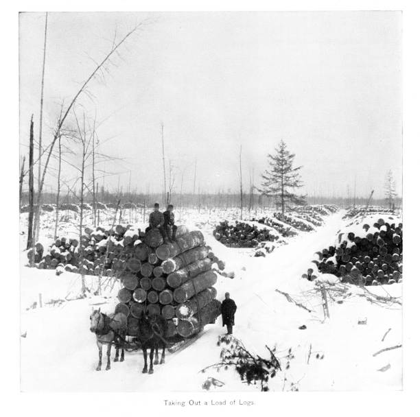 istock Lumber Camp Photo, 19th Century History 2162605364