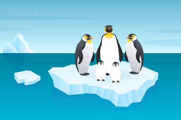 istock Emperor penguins at iceberg, glacier, North Pole global warming  illustration design 2162605805