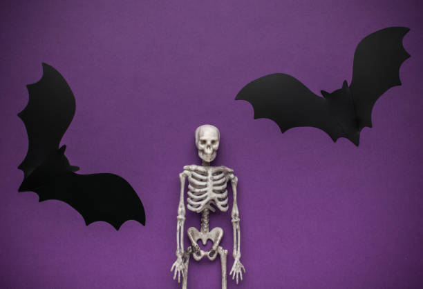 istock Halloween Skeleton and Bat Decorations on Purple Background 2162611682