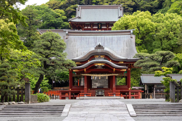 Tsurugaoka Hachimangu Shrine in Kamakura, Japan. Kamakura, Japan- 14 May, 2024: View of Tsurugaoka Hachimangu Shrine in Kamakura, Japan. This beautiful shrine has existed for over 800 years shrine stock pictures, royalty-free photos & images