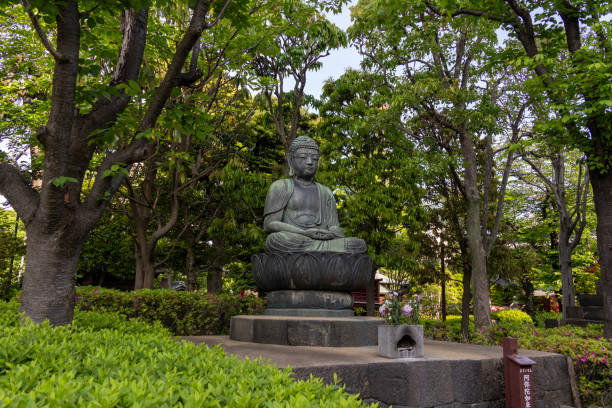 Tokyo, Japan- 11 May, 2024: Buddha statue inside Senso-ji, Tokyo. Senso-ji, is an ancient Buddhist temple in Asakusa