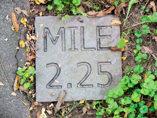 istock Gray Cement Mile Marker for Mile 2.25 On A Hiking Path 2162612907