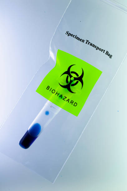 Blue liquid in test tube into specimen biohazard transparent bag isolated on white background.