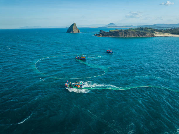 Drone view of fishing boat is netting  anchovies on the sea of Hon Yen islet, Phu Yen province, central Vietnam