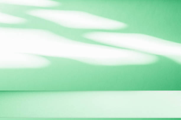 istock Studio style background wall decoration presentation uses white and beige tones. with shadows cast from a nearby window, concept creating a decorative 2162618622