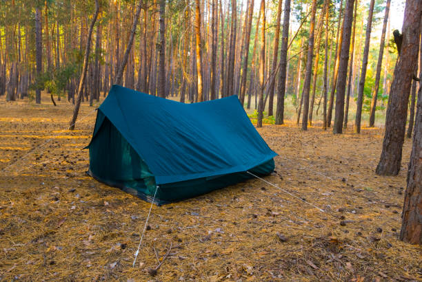 istock small touristic tent stay on forest glade 2162620117
