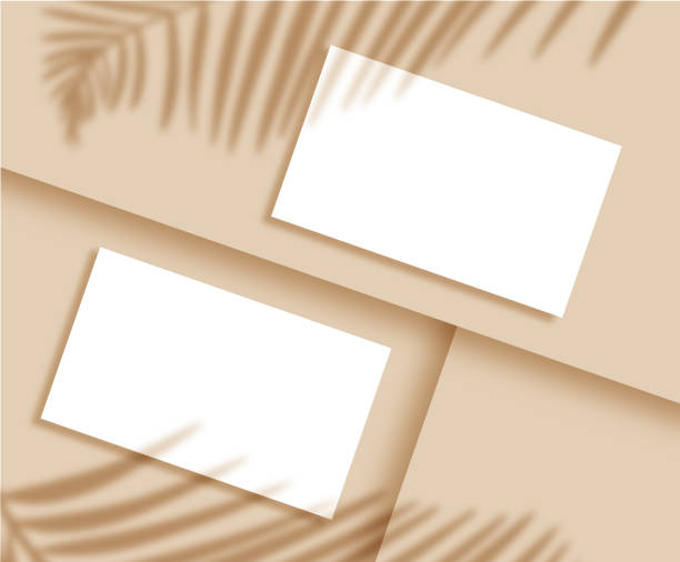 istock Template, business card mockup on both sides with shadow of palm leaves 2162622984