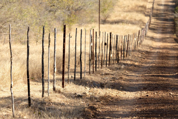 Open and empty field country road through Texas with fencing.