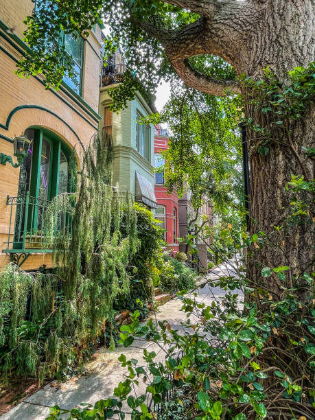 istock Washington DC DuPont circle 2162626397