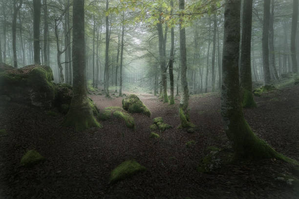 istock Urbasa Natural Park 2162628092