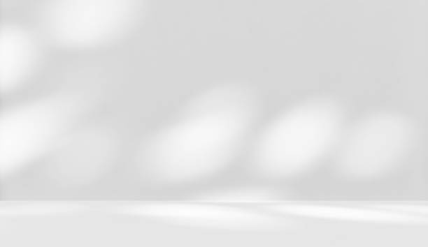 istock Empty white and gray room studio with leaves shadow overlay effect for product presentation display. 2162629532