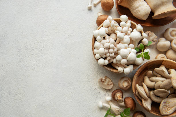 istock Assortment of various raw mushrooms 2162629681