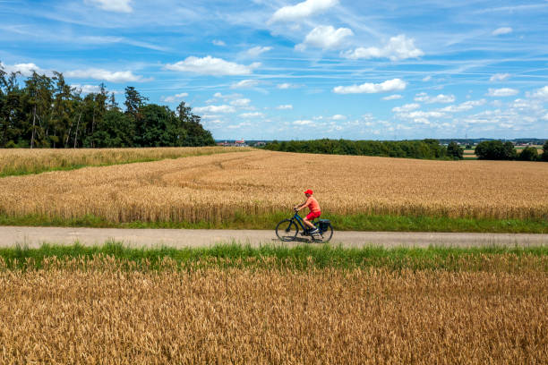istock Riding bicycle in a summer landscape 2162629819