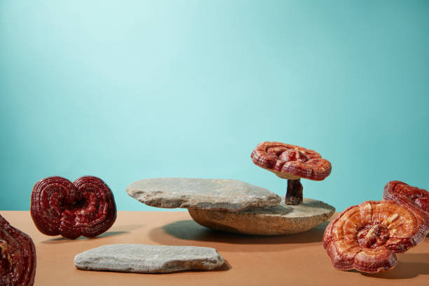 istock LINGZHI MUSHROOM 2162636118