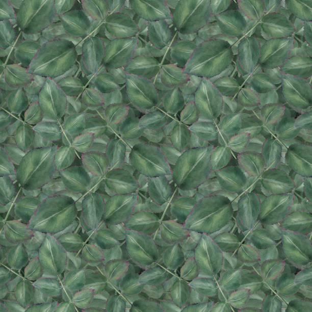istock Green leaves. Seamless pattern with Garden rose leaf. Watercolor illustration. Ideal for backgrounds, fabric prints and nature themed project. Dense vibrant and natural texture 2162640017