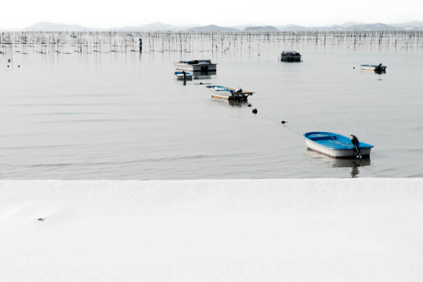 rural seascape in winter