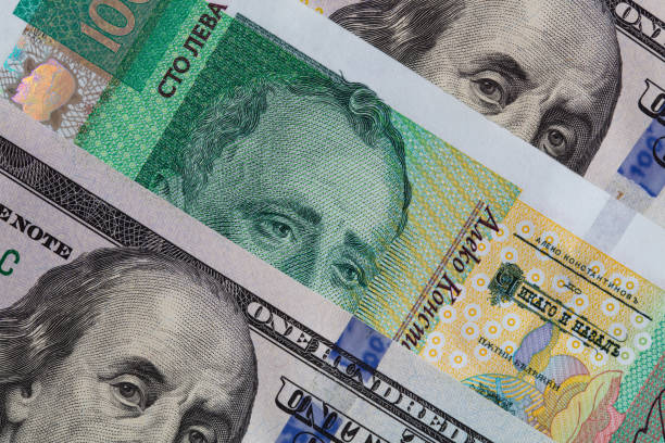 istock Bulgarian lev and US dollar banknotes 2162645988
