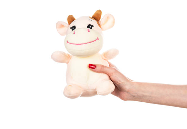 Soft toy cow in hand isolated on white background. High quality photo